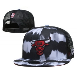 Chicago Bulls Snapback Cap 25K E456
