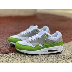 NIKE AIR MAX 1 SP HF1012 300